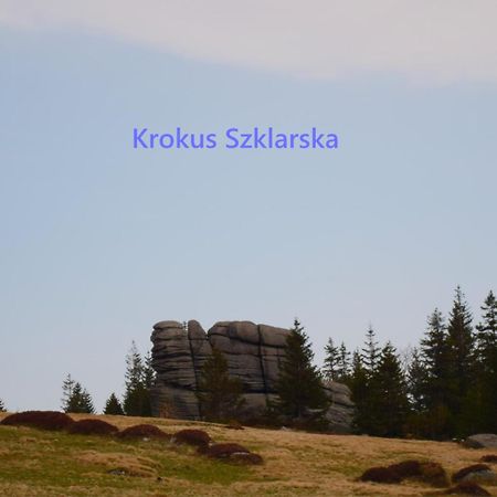 Apartament Krokus Szklarska Szklarska Poręba Exteriör bild