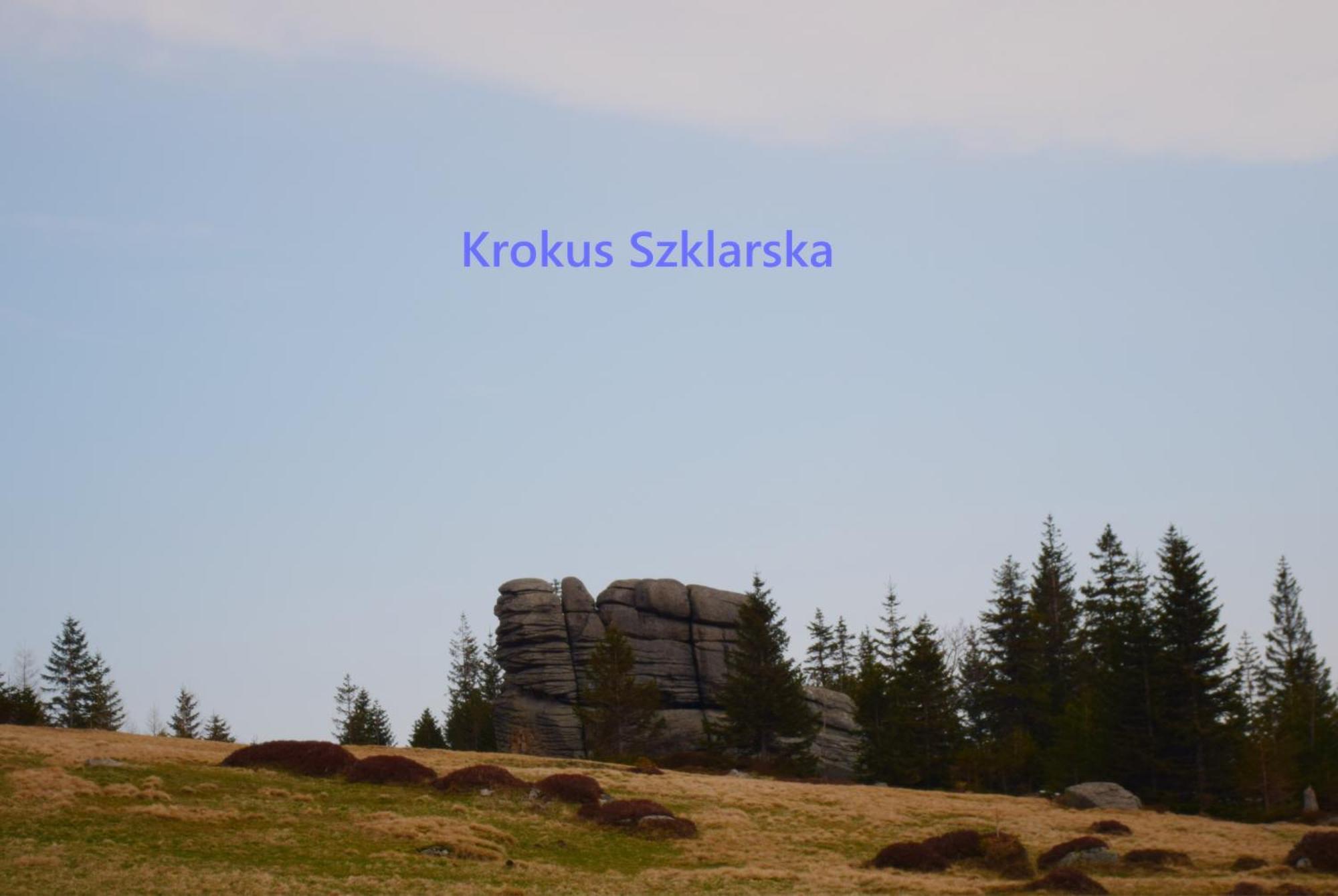Apartament Krokus Szklarska Szklarska Poręba Exteriör bild