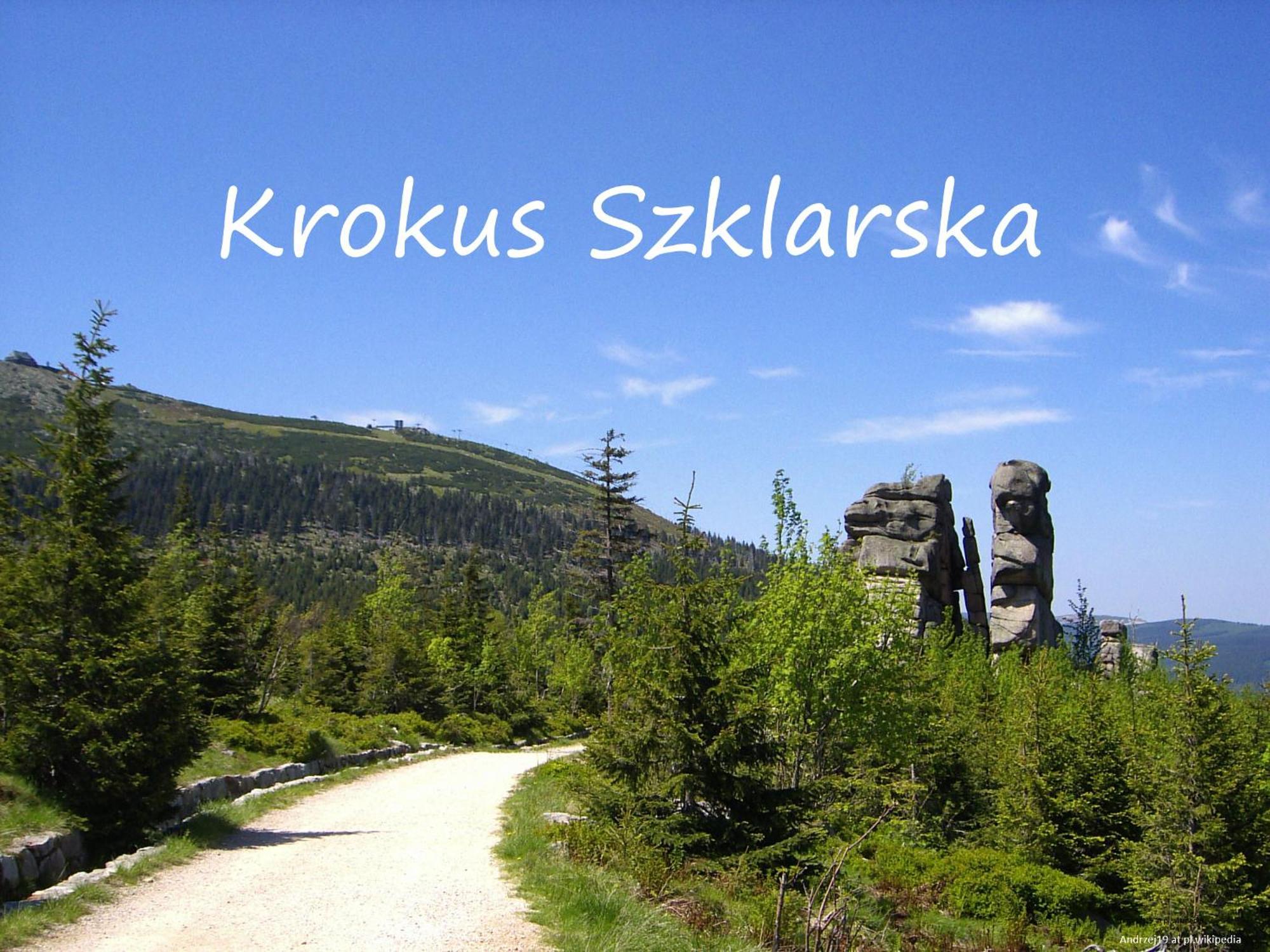 Apartament Krokus Szklarska Szklarska Poręba Exteriör bild